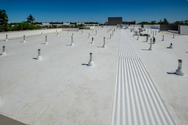 Best Roof Insulation Installation  in Lewistown, IL